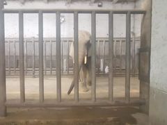 -保定市动物园