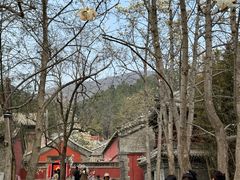 -潭柘寺景区