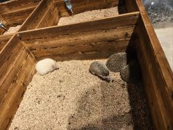 -酷嗒动物文化乐园(cutezoo西溪乐天城店)