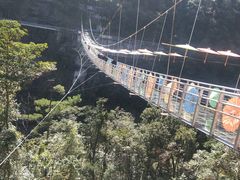 -九龙江国家森林公园