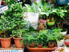 -三旗百汇商品城