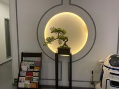 -席仁堂推拿按摩脊柱调理(世纪科贸大厦店)