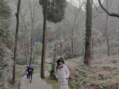 -凤栖山