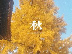 -承恩寺