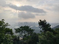 -鼎湖山风景区