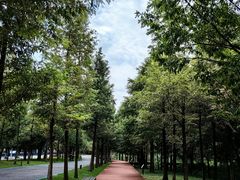 -东钱湖旅游度假区