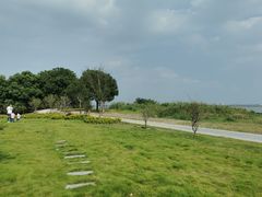 -七的湖·晚芳亭·阳澄湖农家菜·大闸蟹(莲花岛店)