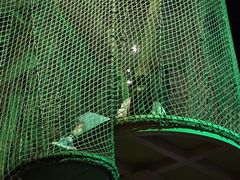 -珠海横琴国家地理探险家中心(创新方)