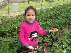 -小鱼草莓采摘园农家乐·小鱼餐厅