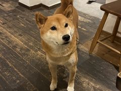 -三目仓咖啡(贤南路店)