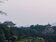 -铁山坪森林公园
