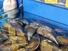 -粤盛海鲜平价店(洛溪食街店)