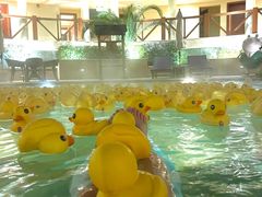 -苏州湾·王焰温泉