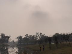-两河城市森林公园
