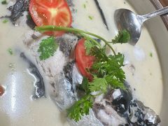 -全乐鱼馆·淳牌有机鱼直营店