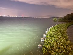 -深圳湾公园(南山区)