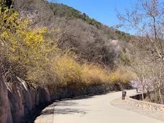 -北京西山国家森林公园