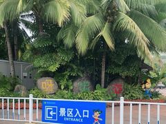 -呀诺达热带雨林