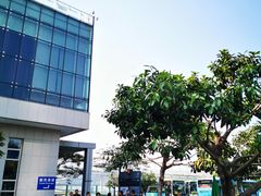 -国际邮轮中心码头(厦鼓码头)