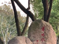 -上海方塔园
