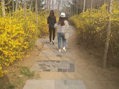 -黄花溪