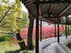 -上海醉白池公园