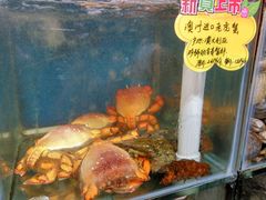 -蚝专家(北滘店)