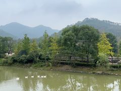 -黄陂区野村谷景区