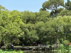 -北陵公园