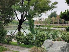 -晓友烧麦(光华村店)