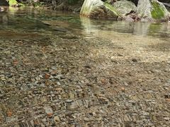 -洛阳花果山景区