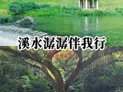 -广州市石门国家森林公园