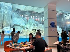 -帝企鹅自助餐厅•儿童岛•真企鹅(长隆企鹅酒店)