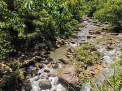 -广州白江湖森林公园