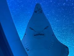 -珠海长隆海洋王国