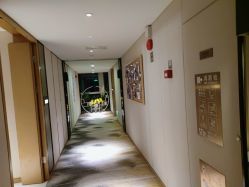 -大美母婴月子中心(希尔顿店)