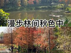-云溪植物园