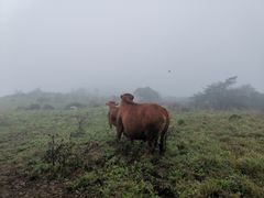 -终南山国家森林公园