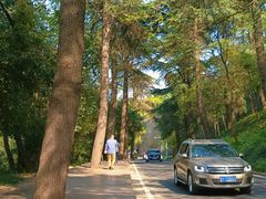 -紫金山山顶公园