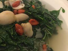 -广州逸林假日酒店·四季桃源中餐厅(白云山风景区店)