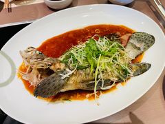 -協成海鮮火鍋(老店)