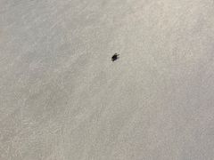 -老湘亲·品鉴湘菜(蔡塘爱琴海店)