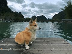 -靖西鹅泉风景区