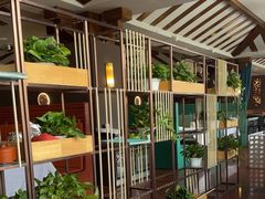 -金狮麟·新豫菜(杏石口路店)