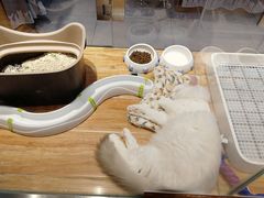 -狗道宠物(常熟印象城店)
