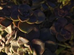 -叁山与肆客服号民宿(龙泉阳光城百工堰公园店)