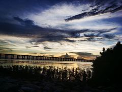 -宝安西湾红树林湿地公园