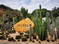 -深圳仙湖植物园