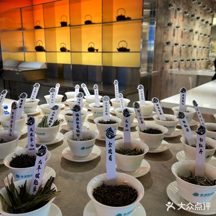 壶·茶馆火锅·白茶（三里屯概念店）