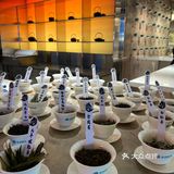 壶·茶馆火锅·白茶（三里屯概念店）